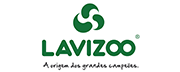 Logo Lavizoo
